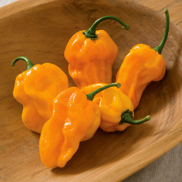 NuMex Suave Orange Pepper Seeds - The Pepper Pantry (Formerly Marie Sharp's)